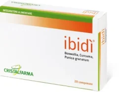 IBIDI'