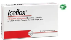 ICEFLOX