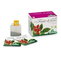 INFUSO BIO FRUTTA BOSCO 20 FILTRI