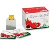 INFUSO FRAGOLA E LAMPONE 20 FILTRI