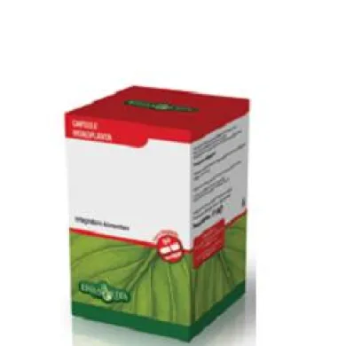 KELP 60 CPS 500MG