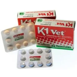 K1 VET CANI-GATTI