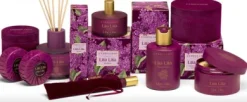LINEA LILLA' LILLA'