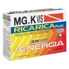 MGK Vis Ricarica Plus Integratore Alimentare 14 bustine