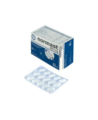 NORMAST 600 MG 60 COMPRESSE