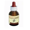 NOTTE PLUS MIRABILIS 50 ML