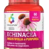 OPTIMA NATURALS ECHINACEA COLOURS 60 CAPSULE
