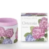 ORTENSIA PROFUMO 100ML