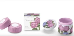 ORTENSIA SAPONE 2PZ