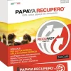 Papaya Recupero Integratore Alimentare 14 sticks