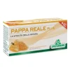 PAPPA REALE PLUS 12 FLACONI DA 10 ML