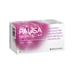 Pausa Night & Day 60 Capsule