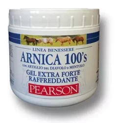 PEARSON ARNICA 100'S GEL EXTRAFORTE RAFFREDDANTE