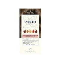 PhytoColor 6 Biondo Scuro