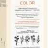 Phyto color kit 4 castano
