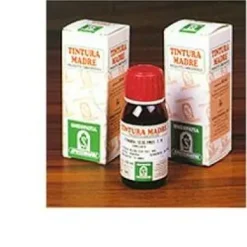 PILOSELLA 20 50 ML TINTURA MADRE