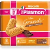 PLASMON BISCOTTO DEI GRANDI CIOCCOLATO