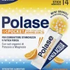 Polase Pocket con sali di Magnesio e Potassio 14 stick