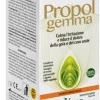 PROPOLGEMMA ESTRATTO IDROALCOLICO 30 ML