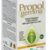 PROPOLGEMMA SPRAY FORTE 30 ML