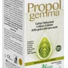 PROPOLGEMMA SPRAY SENZA ALCOOL ADULTI E BAMBINI