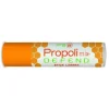 Propoli Mix Defend Stick Labbra