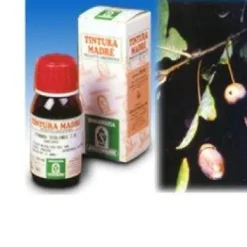 QUERCIA MARI 14 50 ML TINTURA MADRE