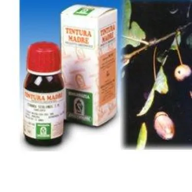 QUERCIA MARI 14 50 ML TINTURA MADRE