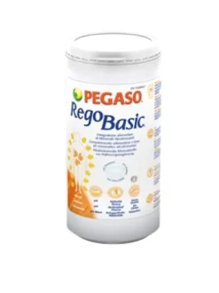 REGOBASIC POLVERE 250 GRAMMI
