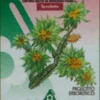 RHODIOLA LE ERBE 60 TAVOLETTE