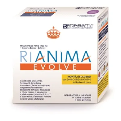 RIANIMA EVOLVE 14 BUSTINE