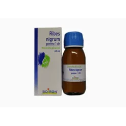 RIBES NIGRUM GEMME MACERATO GLICERICO 60 ML