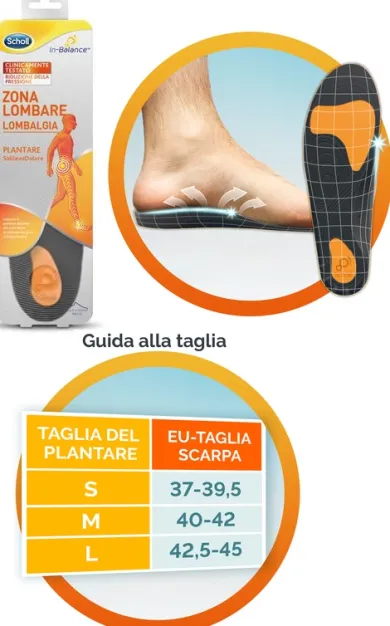 SCHOLL PLANTARE LOMBARE TAGLIA M