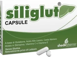 SILIGLUT 20 CAPSULE