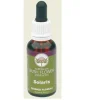 SOLARIS AUSTRALIAN 30ML GOCCE