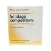 Solidago Compositum Heel Omeopatico per i reni 10 fiale