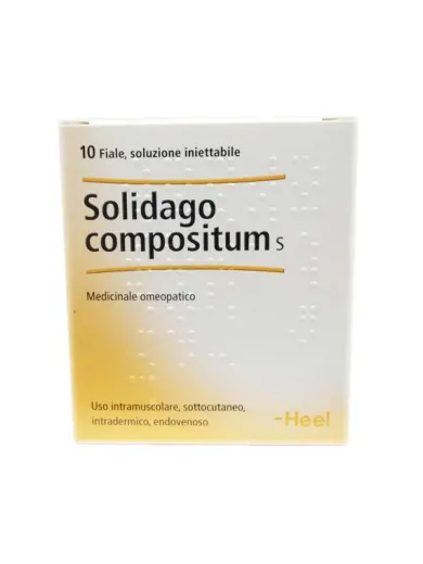 Solidago Compositum Heel Omeopatico per i reni 10 fiale
