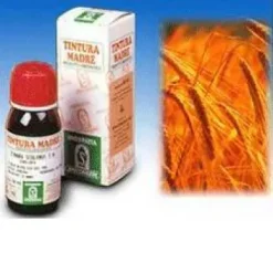 Specchiasol Avena Sativa 3 Tintura Madre 50 ml