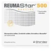 Stardea Reumastar 500 Integratore Alimentare 20 bustine