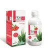 SUCCO ALOEVERA CON GOJI 1000 ML