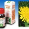 TARASSACO 28 50 ML TINTURA MADRE