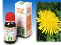 TARASSACO 28 50 ML TINTURA MADRE