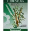 UNCARIA TOMENTOSA ERBE 80 CAPSULE