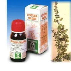 UVA URSINA 30 50 ML TINTURA MADRE