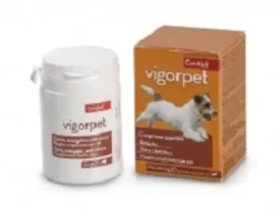 VIGORPET CANI 20 COMPRESSE