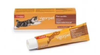 VIGORPET GATTI PASTA 50 GRAMMI