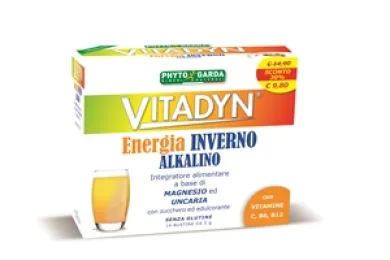 VITADYN ENERGIA INVERNO 14 BUSTINE