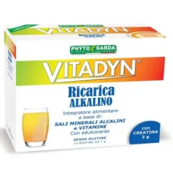 VITADYN RICARICA ALKALINO 14 BUSTINE
