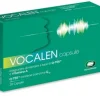 VOCALEN