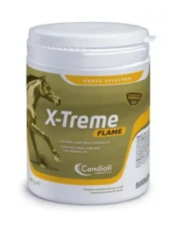 X-TREME FLAME 450 G